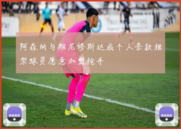 阿森纳与维尼修斯达成个人条款框架球员愿意加盟枪手