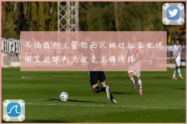 韦伯裁判主管称西汉姆对拉亚犯规明显进球判无效是正确选择